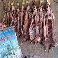 کوشت بره نر