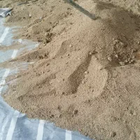 کنجاله زیتون