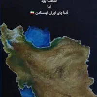 مرغ تخم گذار