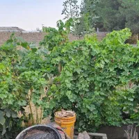 خانه کلنگی در روستای خاوه