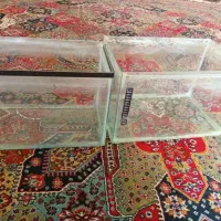 فروش فوری آکواریوم|ماهی|تهران, تختی|دیوار