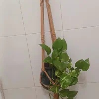 مکرومه بافی|صنایع دستی و سایر لوازم تزئینی|فولادشهر, مسکن مهر فولادشهر|دیوار