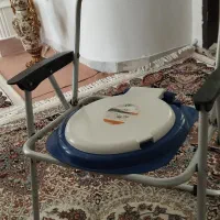 توالت فرنگی