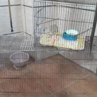 قفس بزرگ تاشو