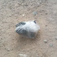 پنیر