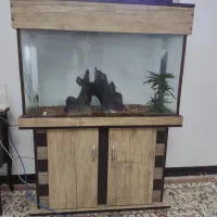 آکواریوم ام دی اف در حد نو