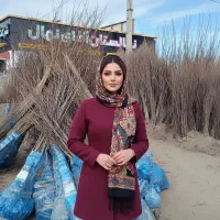 نهال هلو آلبرتا در اصفهان، ضمانت کتبی + کود هدیه