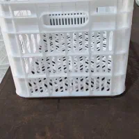 فروش سبد ۲۰ کیلویی|ظروف نگهدارنده، پلاستیکی، یکبارمصرف|بابل, |دیوار