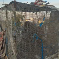 قفس|لوازم جانبی حیوانات|قشم, |دیوار