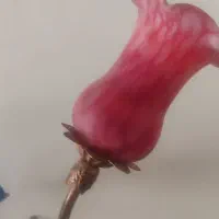 آباژور