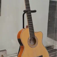 گیتار کات وی پیکا‌پ دار فیش من