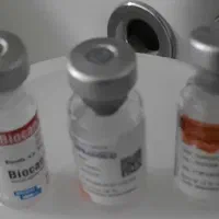 سگ پاکوتاه فیندو نر ۵ ماهه ۱.۴۵۰|سگ|اردبیل, |دیوار