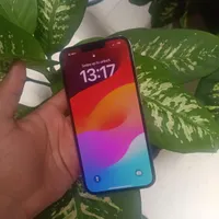 اپل iPhone 13 Pro Max با حافظهٔ ۱ ترابایت