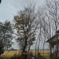 خانه و باغ ۱۴۰۰۰هزارمتر بحرجاده روستا مردابن رودسر|فروش زمین و ملک کلنگی|رودسر, |دیوار