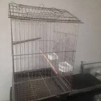 قفص طلایی پرنده عروس هلندی  دکوری