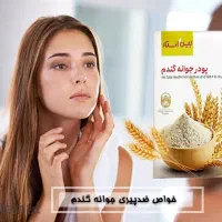 پودر جوانه گندم|خوردنی و آشامیدنی|فارسان, |دیوار