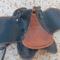 زین استرالیایی