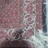 فرش دستبافت بسیار زیبا و پر پرز|فرش|سجاس رود, |دیوار