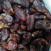 خرما ربی و مضافتی برای شیر گیری