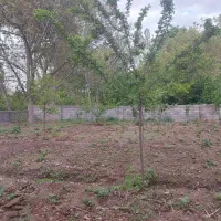 باغ کهندان|فروش زمین و ملک کلنگی|قاهان, |دیوار