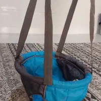 تاب شورتی درحدنو