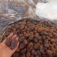 خرما کبکاب درجه یک