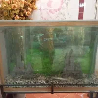 فروش فوری یک آکواریوم