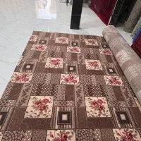 انواع موکت پالاز چمن