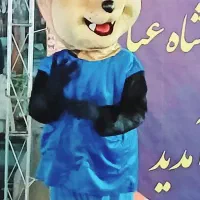 فروش واجاره تنپوش عروسکی باعروسک گردان در جشنها|خدمات پذیرایی، مراسم|کرج, باغستان|دیوار