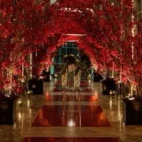 دیزاین گل|خدمات پذیرایی، مراسم|مشهد, امیر|دیوار