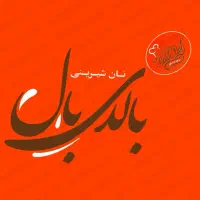 ادمین و پشتیبان فصای مجازی