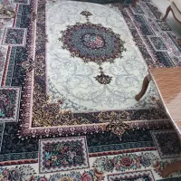 فرش ۱۲،متری مشهد