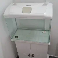 آکواریوم شیشه خم