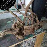 چوب ابنوس برای اکواریوم