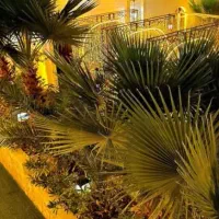 تشریفات،باغ تالار قصر ذرین|خدمات پذیرایی، مراسم|شهریار, شهرک وائین|دیوار