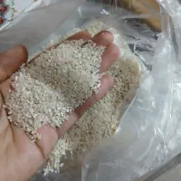 نیم دونه طارم هاشمی