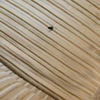 مبل ۷نفره|مبلمان خانگی و میز عسلی|بجنورد, |دیوار