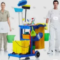 نیروی خدماتی به صورت حرفه ایی