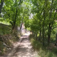 250متر باغچه ویلایی/لواسان بزرگ/ایران/جورد/وسکاره