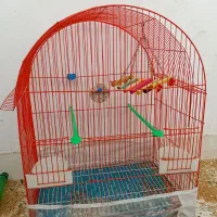 قفس