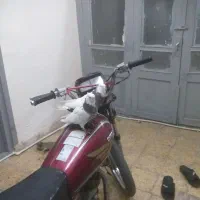 یه جفت طوقی|پرنده|شاهرود, |دیوار