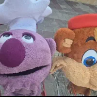 تن پوش خرس و جناب خان