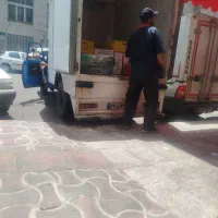 پخش عمده مرغ تازه