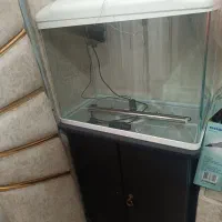 آکواریوم شیشه خم شرکتی با کمد