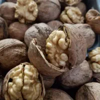 مغزپر|خوردنی و آشامیدنی|نهاوند, |دیوار