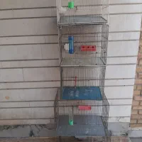 ۵ عدد قفس پرنده