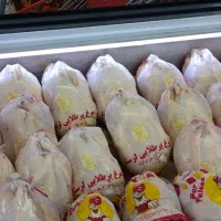 فروش ویژه افق کوروش