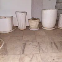 گل مصنوعی، ارکیده، روز ، گلدون|گل مصنوعی|کرج, جهان‌شهر|دیوار
