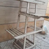 پای گلدان|گل و گیاه طبیعی|تربت‌حیدریه, رضاشهر|دیوار