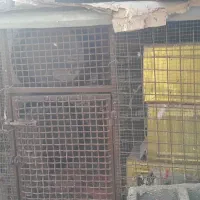 قفس محکم بزگ سقف ایرانینت فلزی رودان قیمت مفت